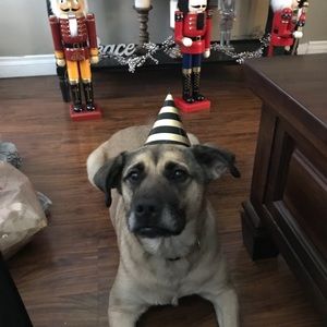 Meet your Posher, Ralph